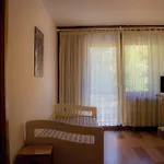 Petit Tibet Aparthotel Breuil-Cervinia