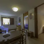Aparthotel Petit Tibet 3*